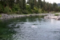 Salmon Run